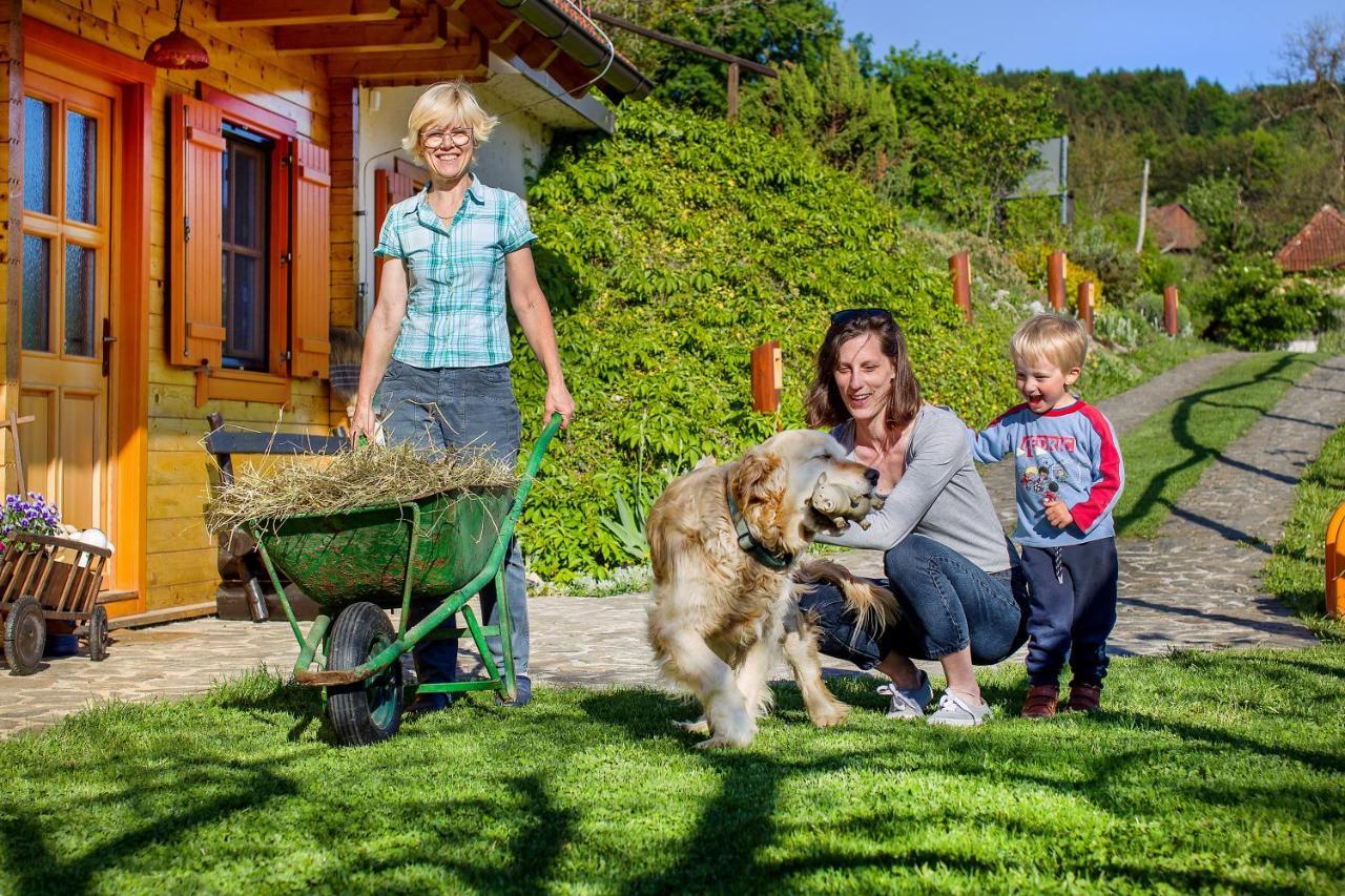 Farm Stay Pirc Lasko Exterior photo